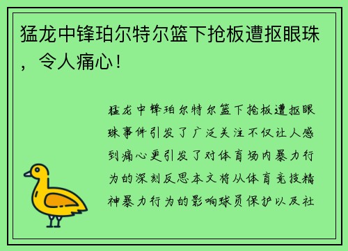 猛龙中锋珀尔特尔篮下抢板遭抠眼珠，令人痛心！